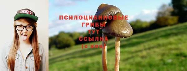 мяу мяу мука Армянск