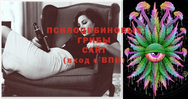 крисы Аркадак